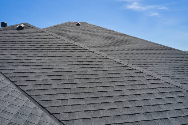 Best Roof Coating and Sealing  in Skyline Ganipa, NM